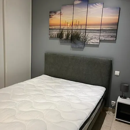 Madysan Climatisee St Aygulf, Piscine Privee, Proche De La Villa *